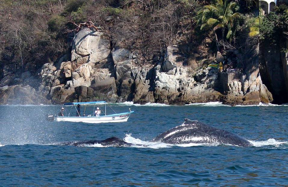 Riviera Nayarit