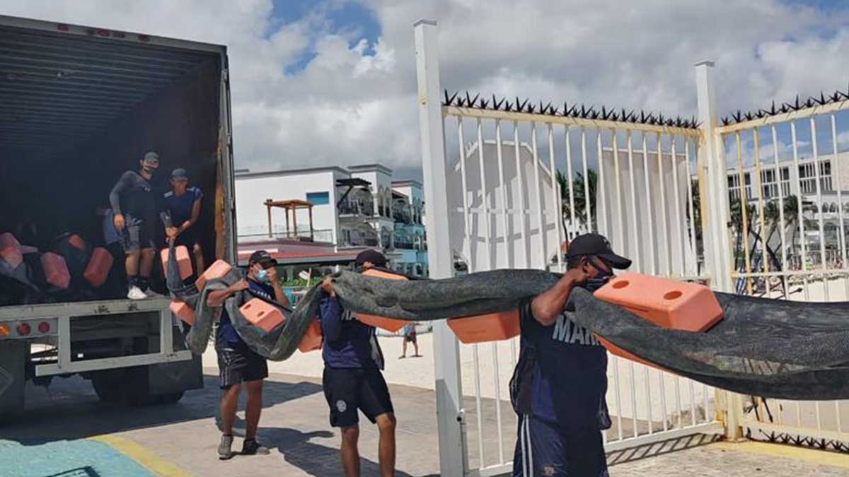 Sargazo en el caribe mexicano