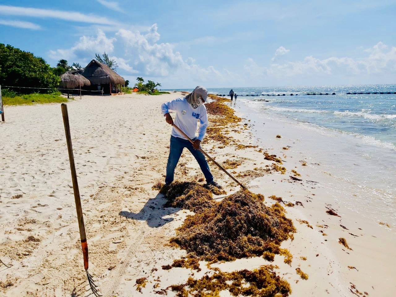 Caribe Mexicano tiene estrategia