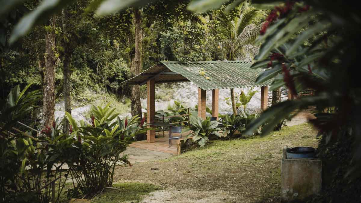 Ruta del café en Puerto Rico