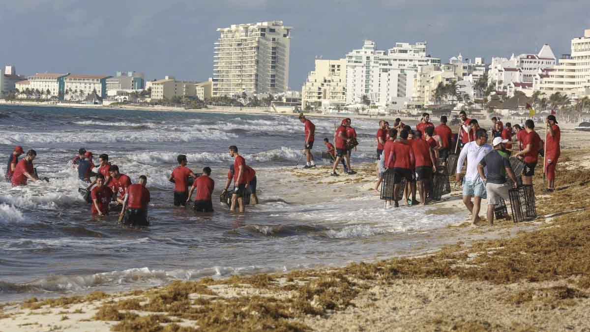 Fin de la temporada de sargazo en Cancún