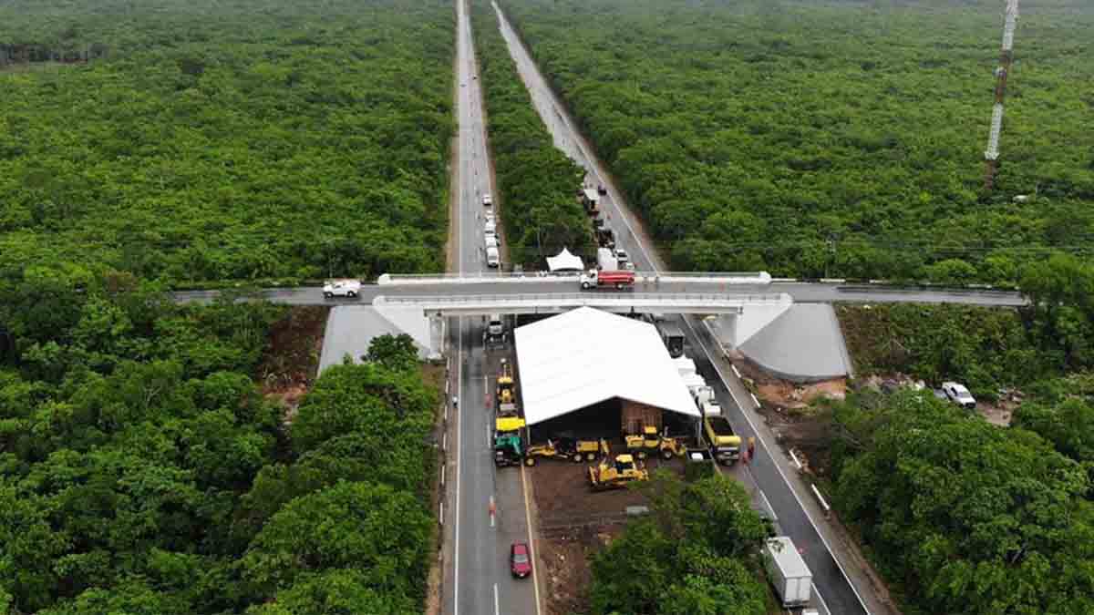 Seguridad del Tren Maya