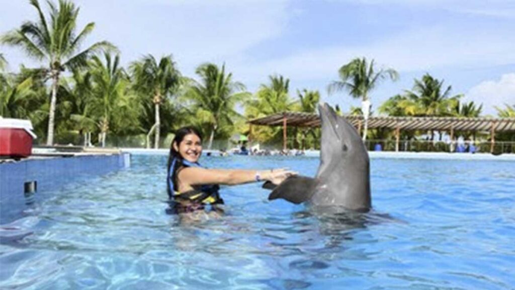 Dolphin Discovery Playa del Carmen