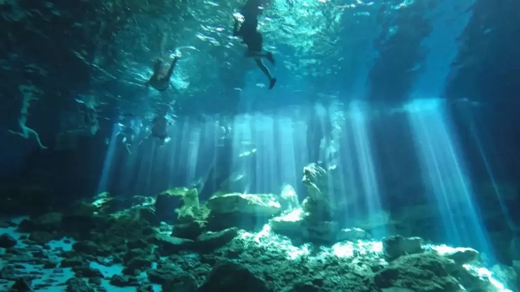 Cenotes en Mérida