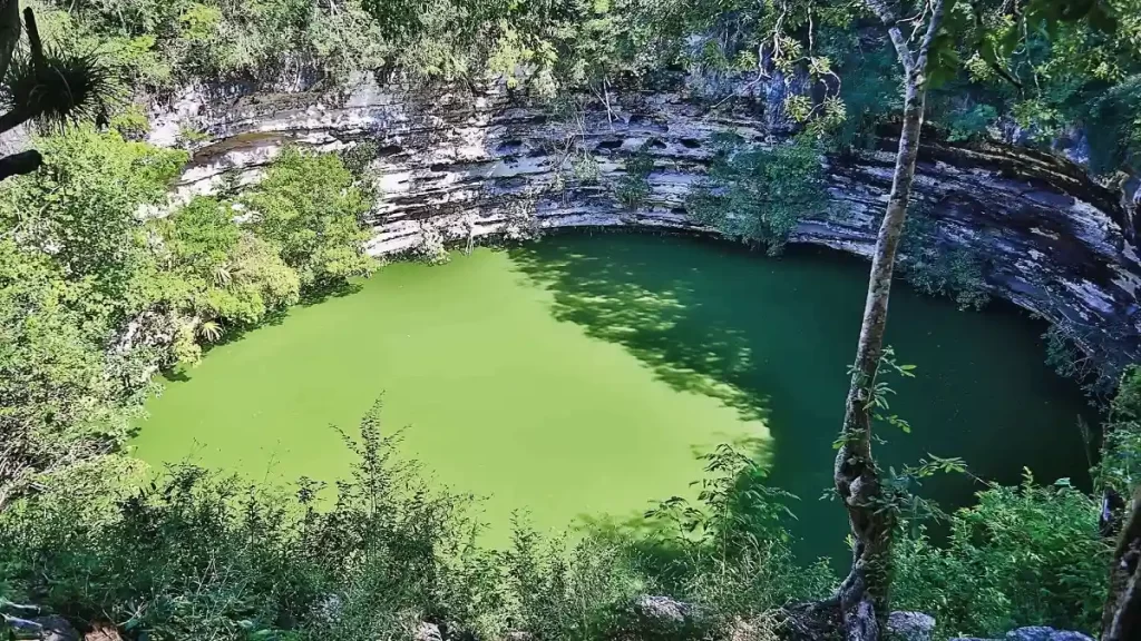 Cenotes en Mérida