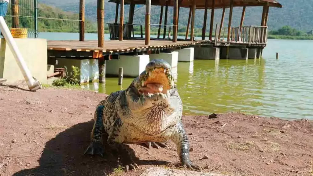 Colima parques temáticos