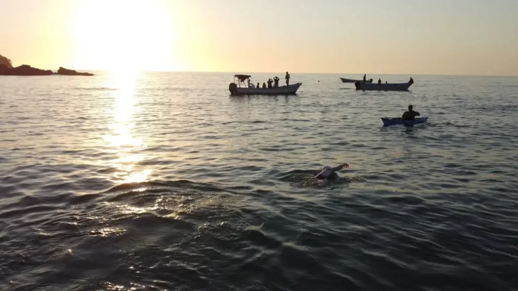 Nado por las Ballenas