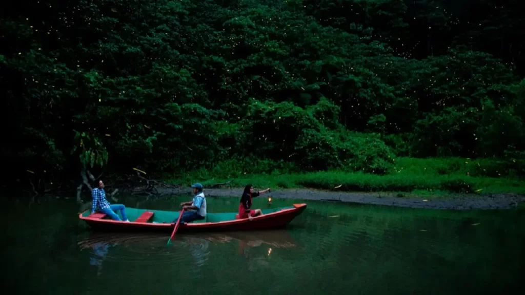 Luciérnagas en Puebla