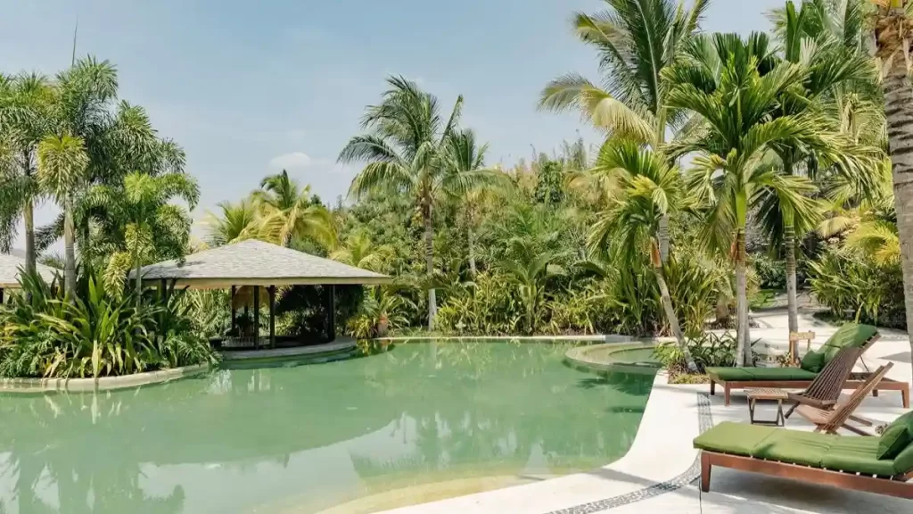 Soul Spring Sanctuary