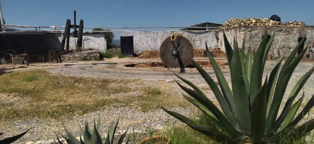 norte-de-guanajuato-san-felipe