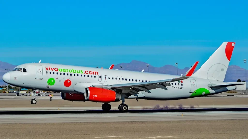 Utilidad neta de Viva