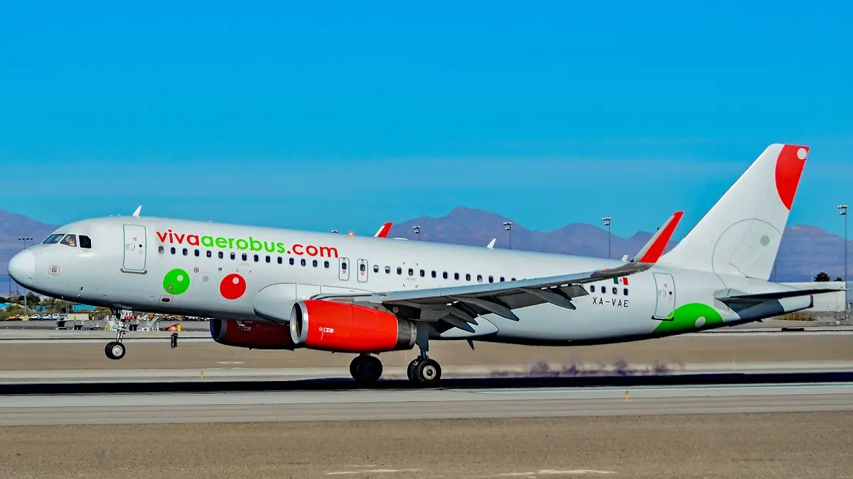 Utilidad neta de Viva