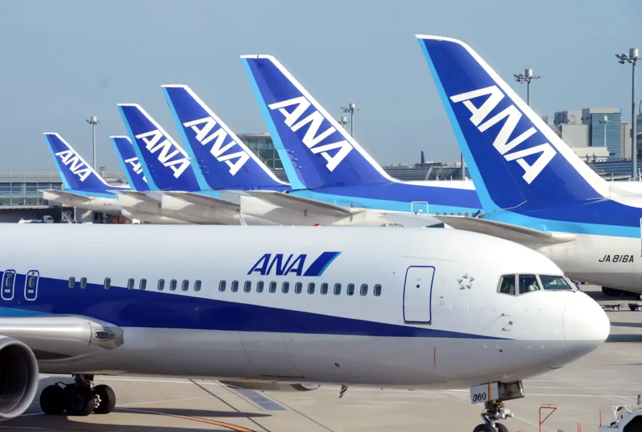 ana holding inc