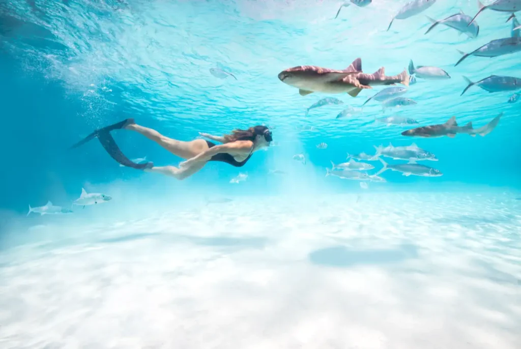Bahamas sostenible
