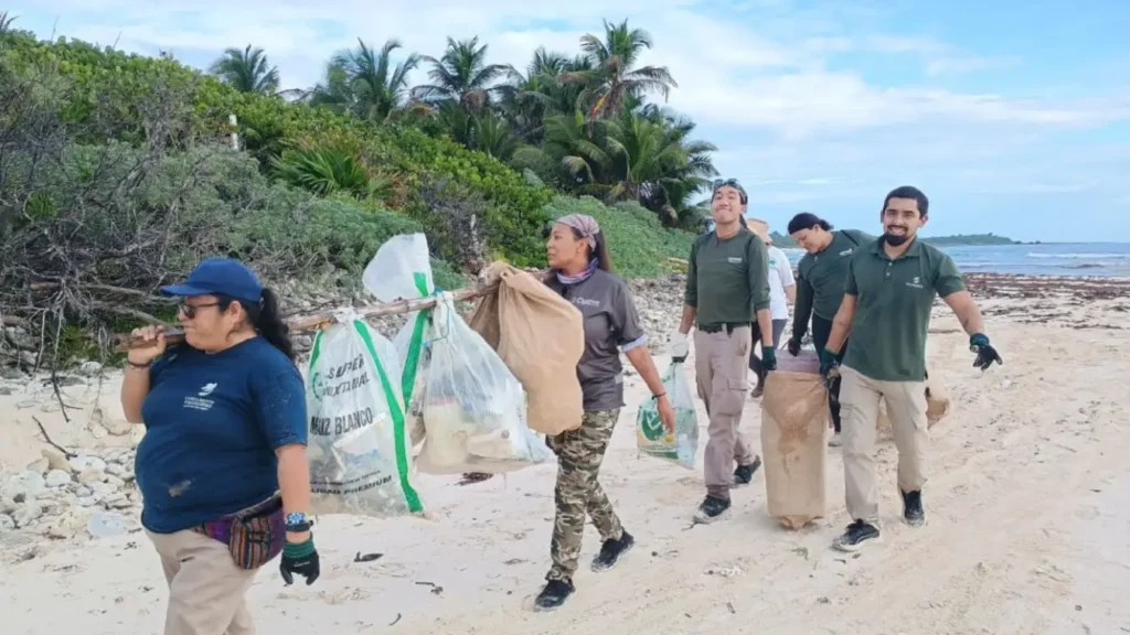 Eco-Bahía