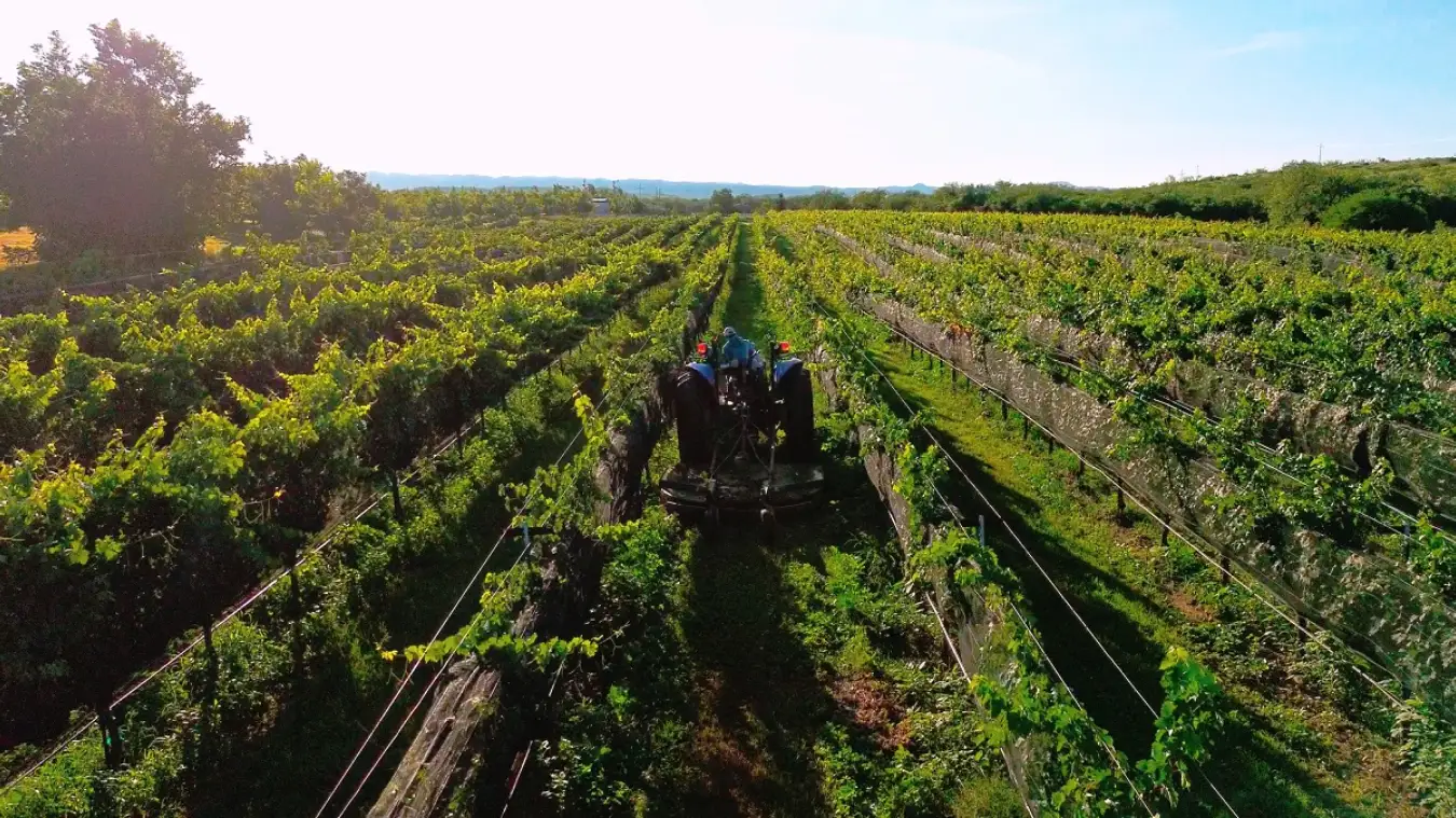 Festival del Vino Vinorte 2026