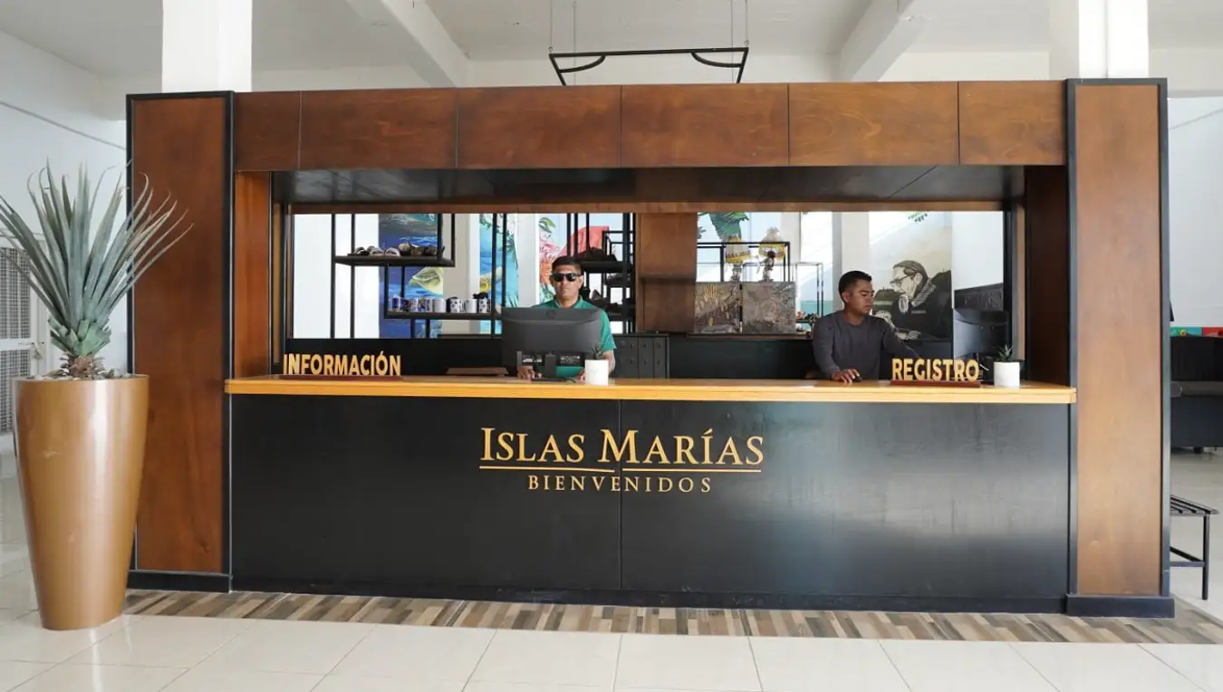 personas ocupadas