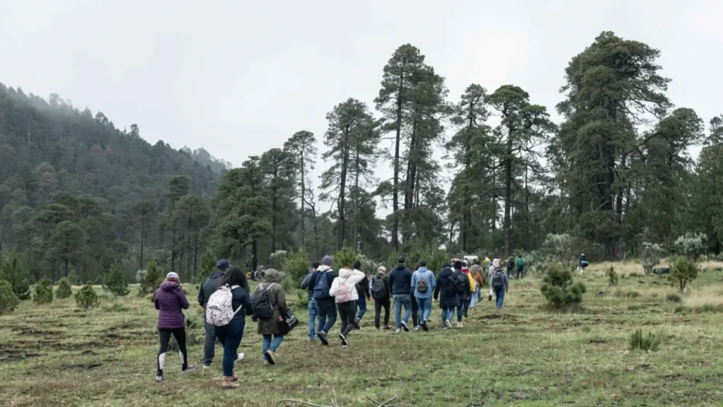 Reforestamos México y PASE