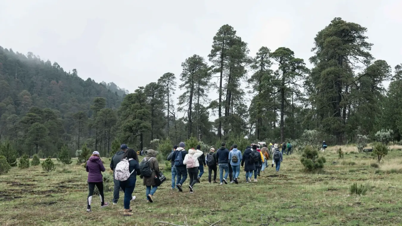 Reforestamos México y PASE