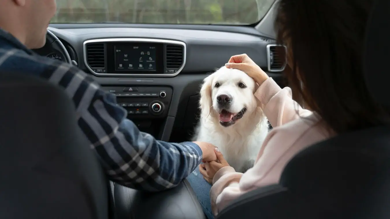 viajar con mascotas