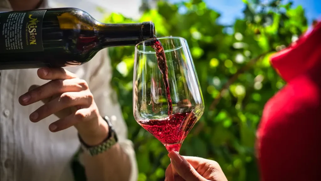 Vino Fest