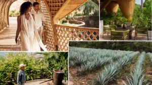 Naviva, A Four Seasons Resort