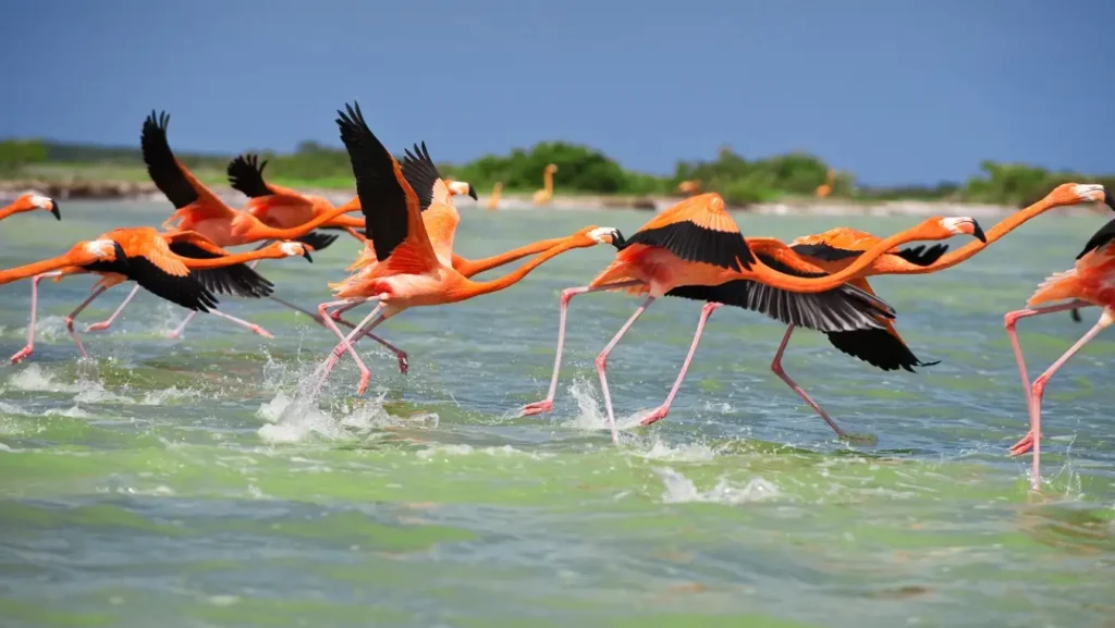 Yucatán destino turístico incluyente, comunitario y vivo