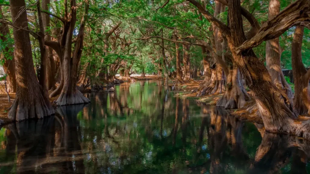 turismo de naturaleza en Michoacán